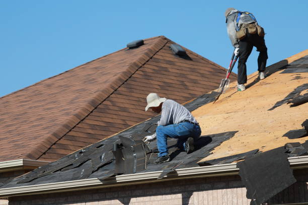 Best Asphalt Shingle Roofing  in St Clair Shores, MI