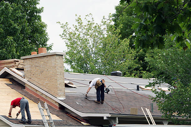 Best Roof Insulation Installation  in St Clair Shores, MI